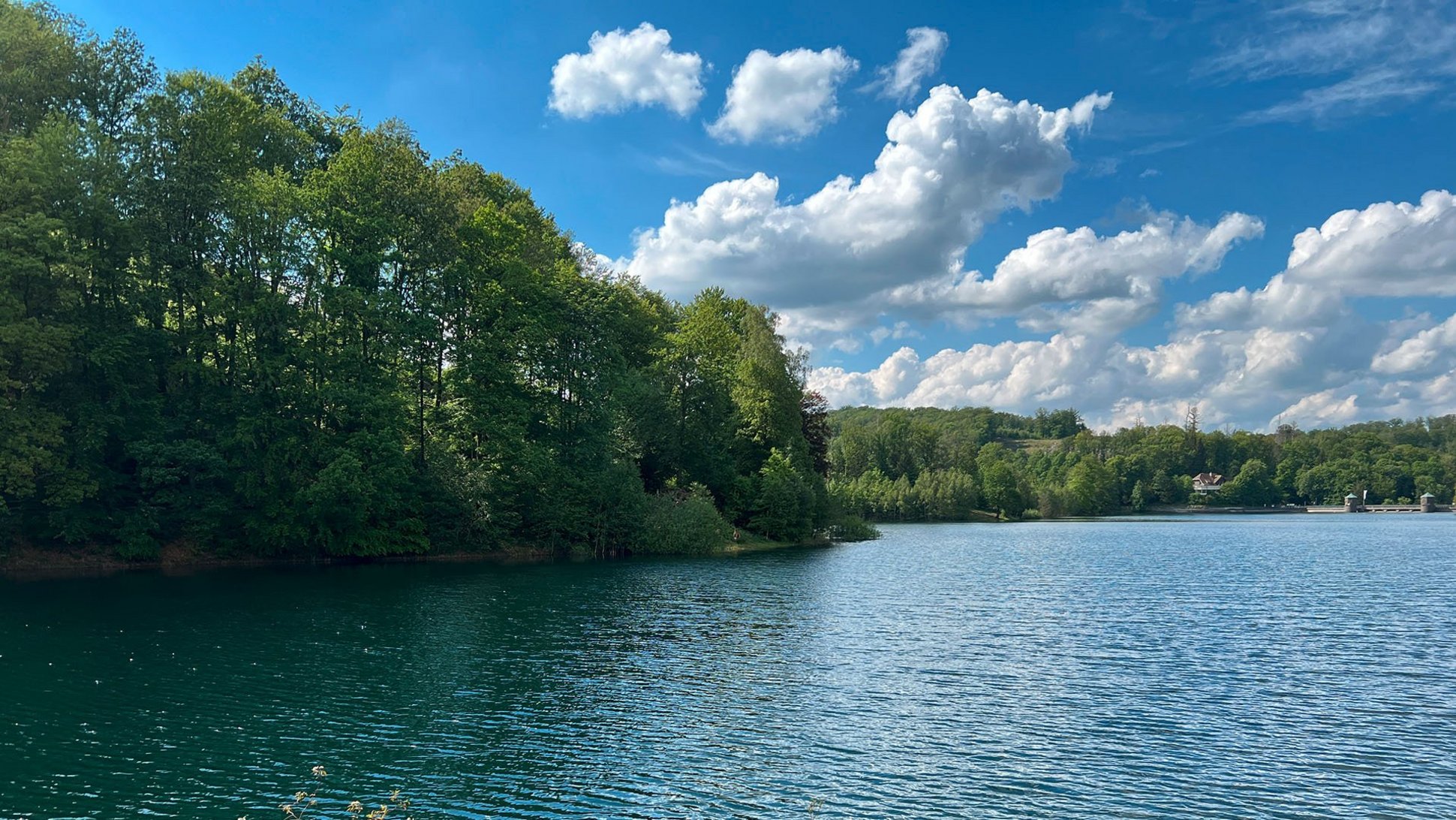 Fürwiggetalsperre an einem Sommertag