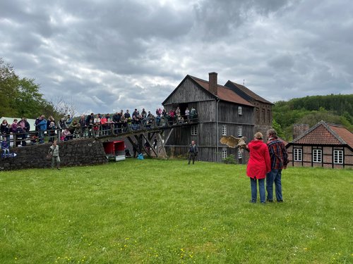 Ein Höhepunkt beim Museumsfest an der Luisenhütte war die Geifvogelschau mit Falken, einem Adler und einem Uhu. Foto: Eileen Bräuniger / Märkischer Kreis