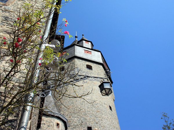 Oberer Burghof mit Blick auf die Rosen