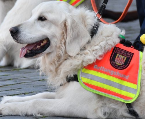 Die Spezialhunde der Sondereinheit Rettungshunde/Ortungstechnik der Feuerwehr Iserlohn sind auch im oberen Burghof zu Besuch. Foto: Oliver Schirmer / Feuerwehr Iserlohn