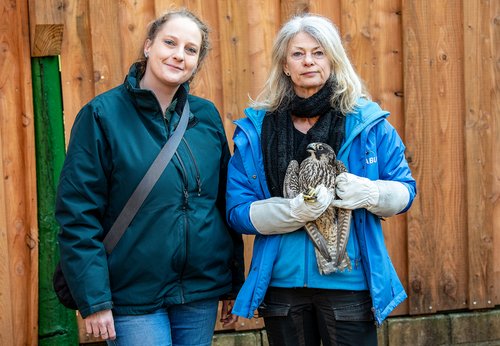 Caroline Bendrien (links), Biologin bei der Unteren Naturschutzbehörde, mit Petra Sperlbaum von der Greifvogelstation Wesel und Wanderfalken-Weibchen Lulani. Foto: Peter Malzbender / Greifvogelstation Wesel