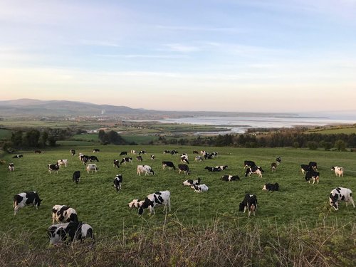 Ein Blick auf die Bucht von Dungarvan im Partnerkreis Waterford an der irischen Küste. Foto: Märkischer Kreis