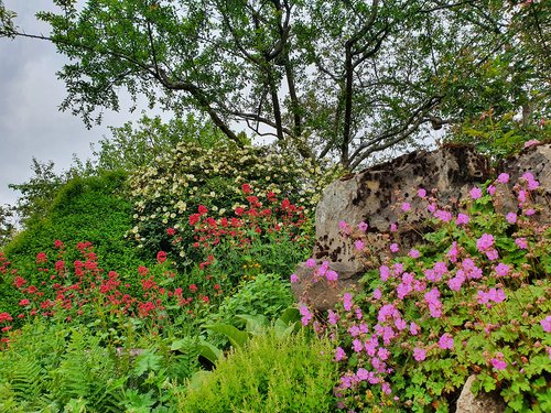 Der Märkische Kreis sucht gemeinsam mit den Städten und Gemeinden nach schönen Gärten im Kreisgebiet. Beim ersten Naturgarten-Wettbewerb steht die Artenvielfalt und Biodiversität im Fokus. Foto: Ulrike Rohlmann