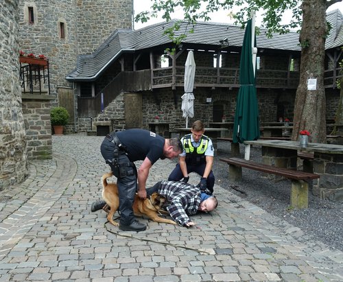 Dogs in Jobs: Die Kreispolizeibehörde Märkischer Kreis gibt Einblicke in die Arbeit der Diensthunde. Foto: Agnes Zelck / Märkischer Kreis