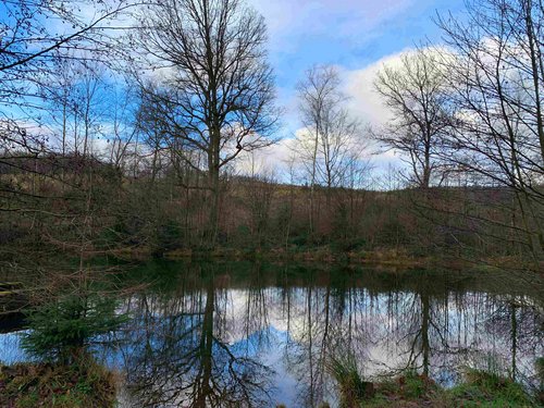 Der Naturpark Sauerland Rothaargebirge lädt zu einer geführten Wanderung durch das Quellental ein. Foto: Astrid Bauriedel