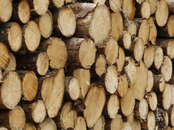 Ein Tipp für das richtige Heizen mit Holz: Nur trockenes, gespaltenes Holz verwenden. Die Scheite sollten möglichst gleich groß und rindenfrei sein. Foto: Märkischer Kreis