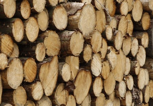 Ein Tipp für das richtige Heizen mit Holz: Nur trockenes, gespaltenes Holz verwenden. Die Scheite sollten möglichst gleich groß und rindenfrei sein. Foto: Märkischer Kreis