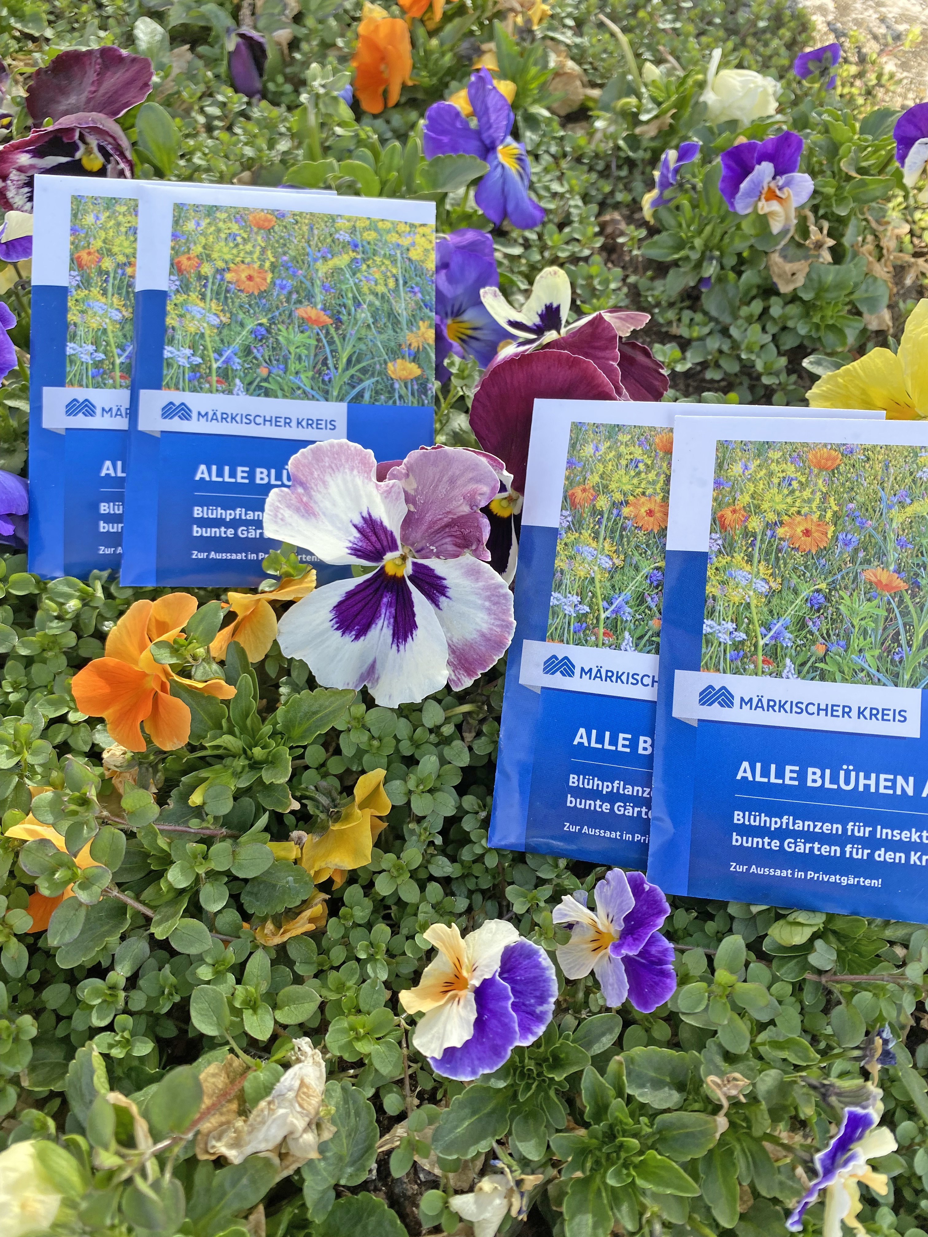 Aus neun Kommunen sind bereits Bewerbungen für den kreisweiten Naturgarten-Wettbewerb eingetroffen. Der nächste Praxis-Workshop findet am 22. Juli statt. Anmeldungen sind noch möglich. Symbol-Foto: Sandra Jurek / Märkischer Kreis