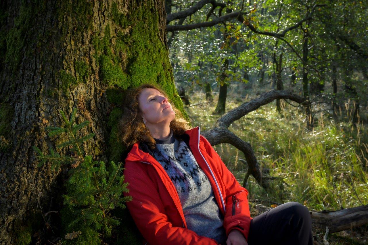 Den Wald achtsam mit allen Sinnen genießen bei der Naturparkführung am 29. Juli in Hemer. Foto: Klaus-Kappest/ Sauerland-Tourismus 