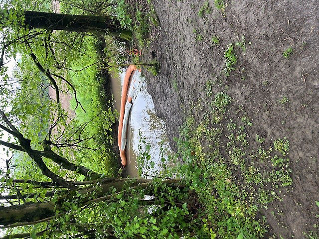 In Abstimmung mit dem „Umweltalarm“ wurden durch die Feuerwehr und der Firma Lobbe Ölsperren im Seitengraben, im Zulauf zur Teichanlage und dem Borkebach errichtet, um das Altöl-Wassergemisch absaugen zu können. Foto: Karsten Runte / Märkischer Kreis