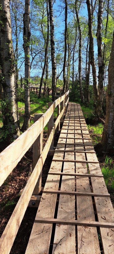 Trockenen Fußes durch das Moor: das ermöglicht ein neuer Steg im Naturschutzgebiet "Piwitt". Foto: NPSR