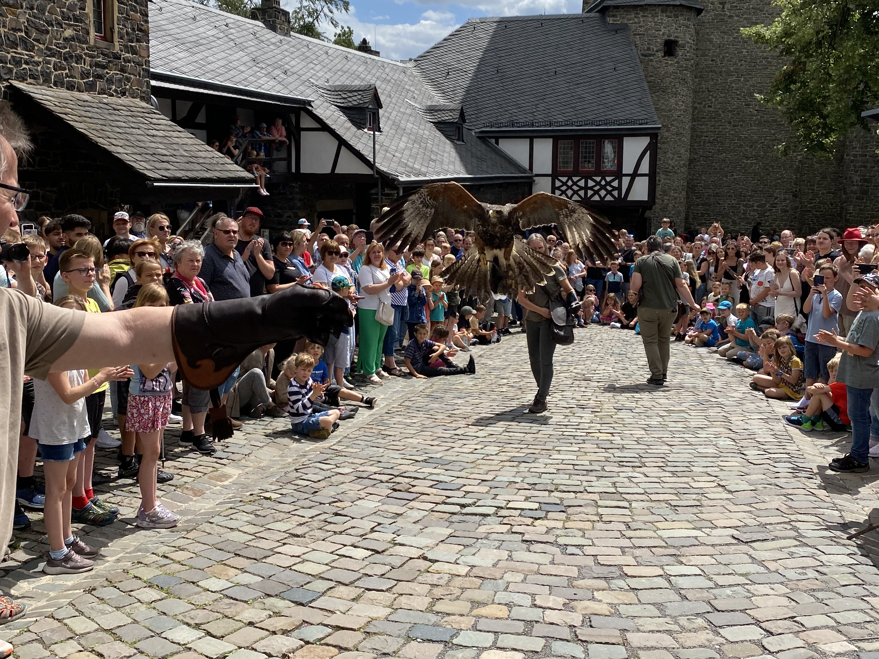 Rasante Flugkünste gehören bei der Greifvogelschau mit der Falknerei Pierre Schmidt am 28. Juli auf Burg Altena zum Programm. Foto: Britta Gerstendorf / Märkischer Kreis